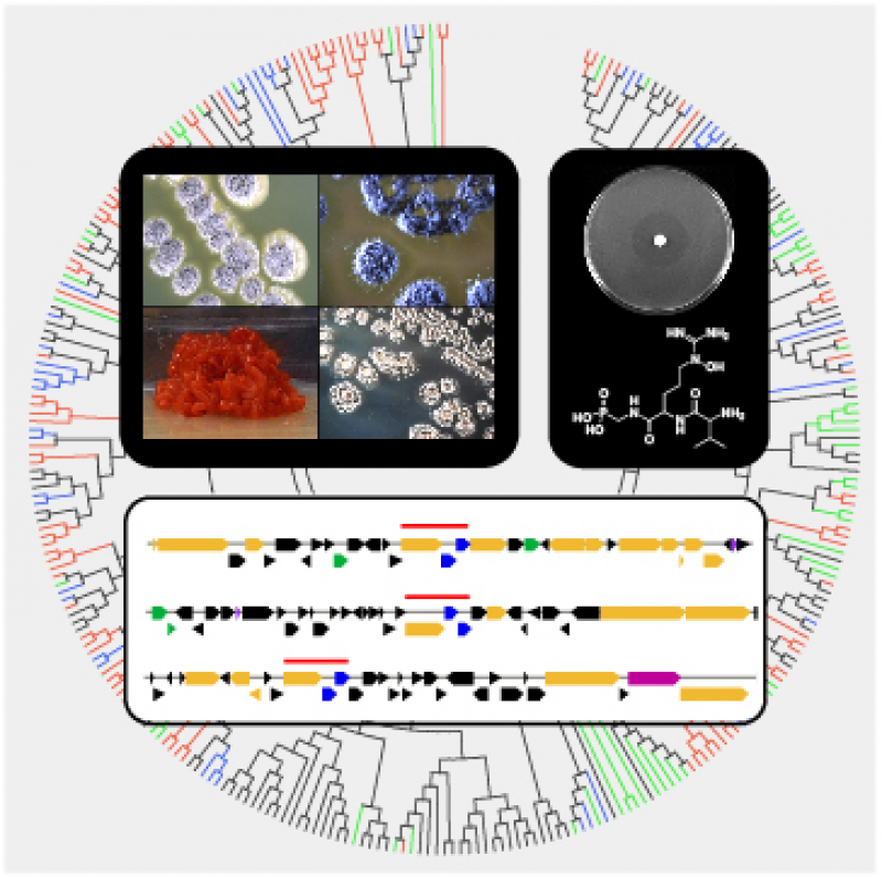 Ju Lab Research