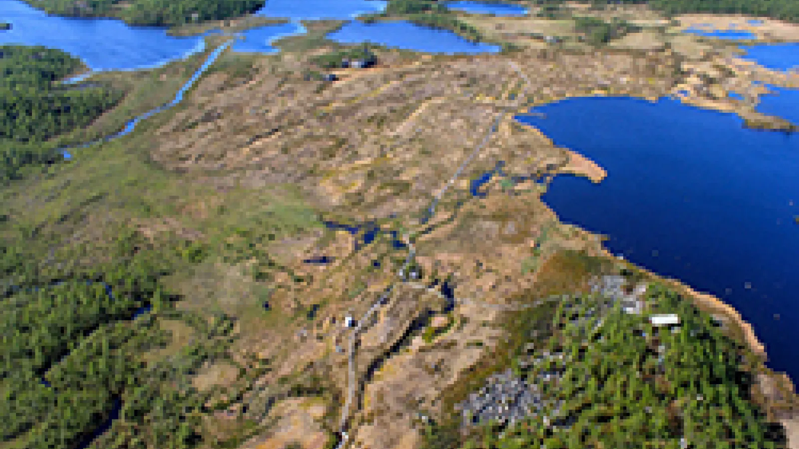Isogenie Field site