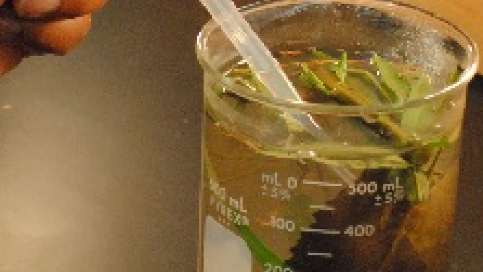 Experimenting in a beaker.