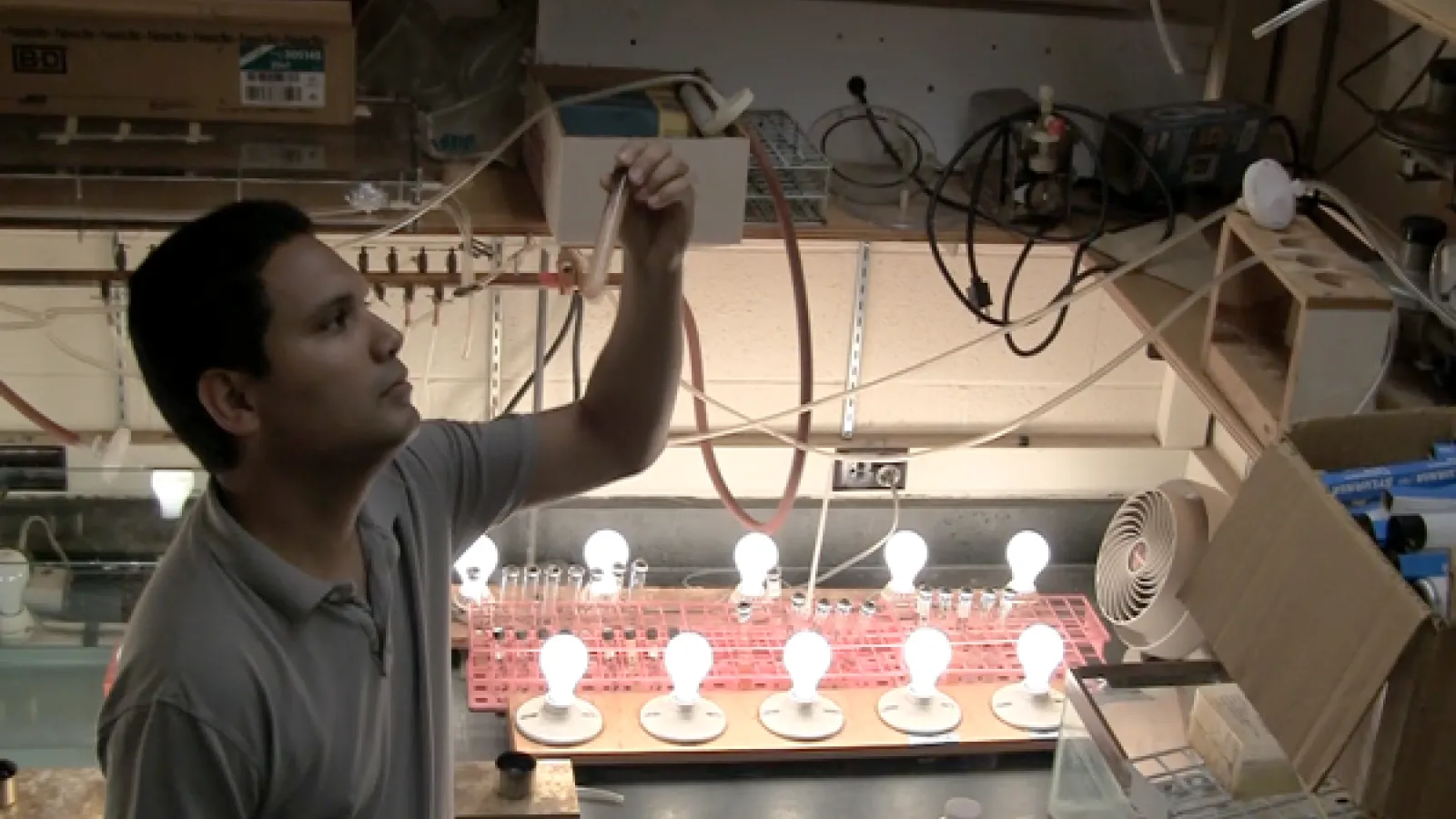 Stirring test tubes