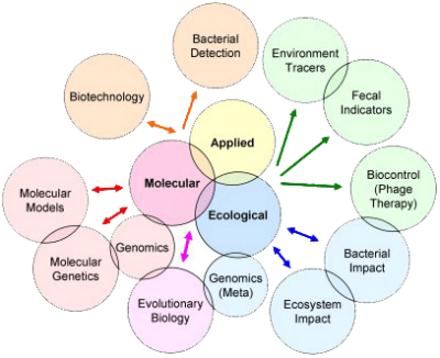 Bubble diagram of connections in microbiology.