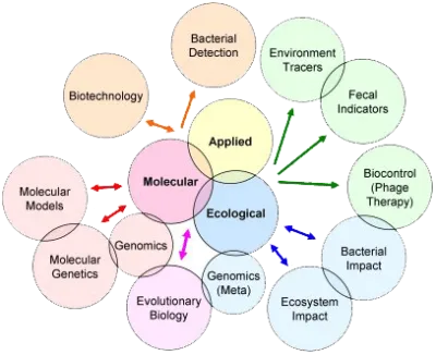 Bubble diagram of connections in microbiology.