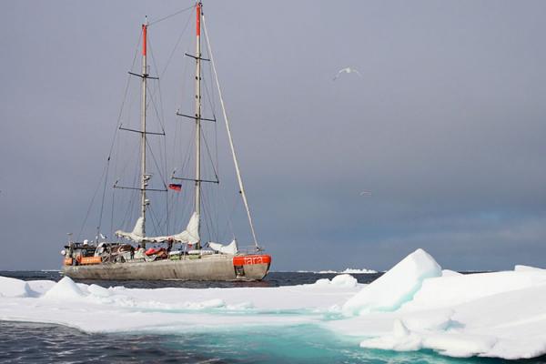 Boat in the ocean next to iceberg