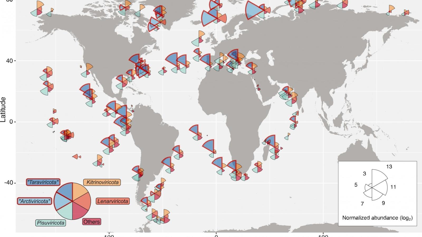 Map showing the distribution of RNA viruses across the ocean